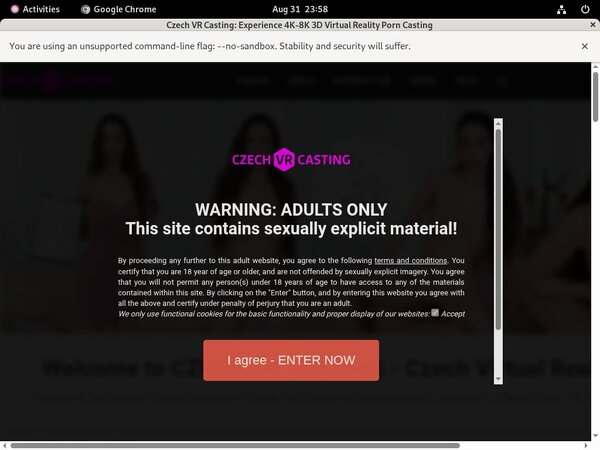 Czechvrcasting.com 2021
