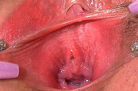 Free Gape My Pussy Login Account s1