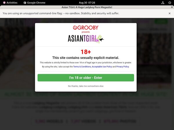 Free Ladyboy Ladyboy Code