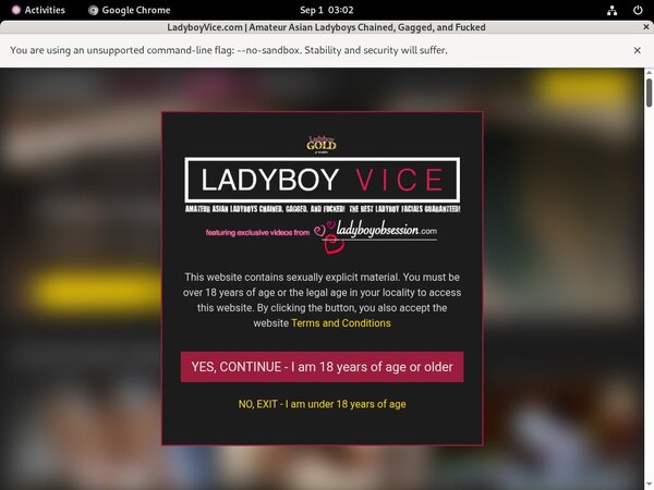 Get Ladyboy Vice Discount Get Ladyboy Vice Discount