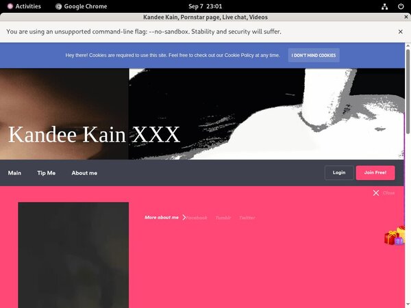 Kandee Kain Xvideos Kandee Kain Xvideos