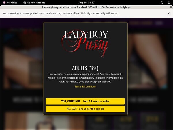 Ladyboy Pussy Tv