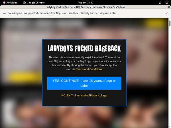 Ladyboys Fucked Bareback Accounts And Password