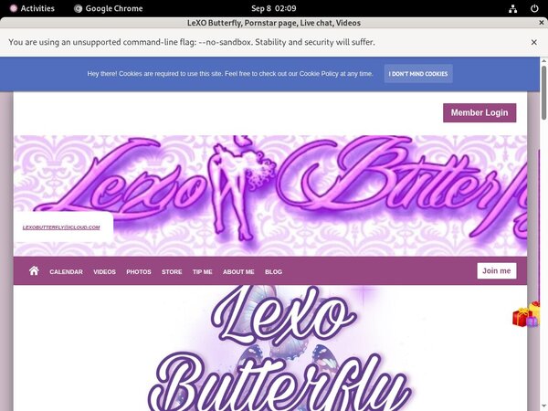 LeXO Butterfly Update