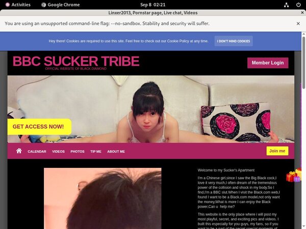 Linxer2013.modelcentro.com Accounts Daily