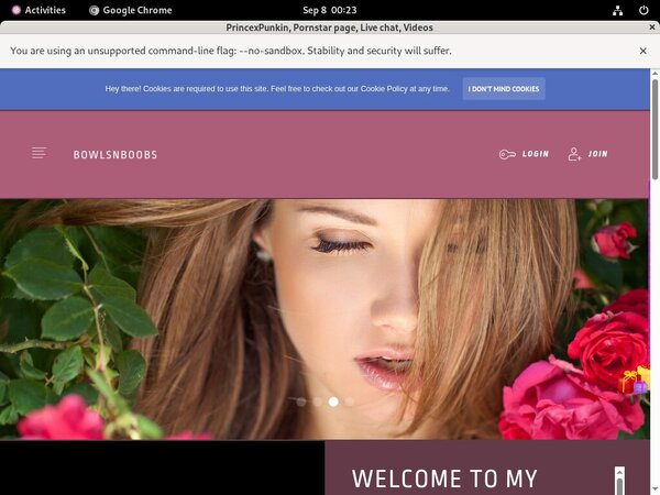 Login To PrincexPunkin Free Login To PrincexPunkin Free