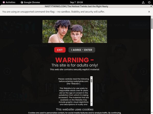 Nasty Twinks Paysites Reviews Nasty Twinks Paysites Reviews