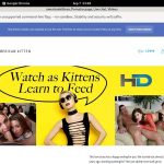 New Americankittens Porn