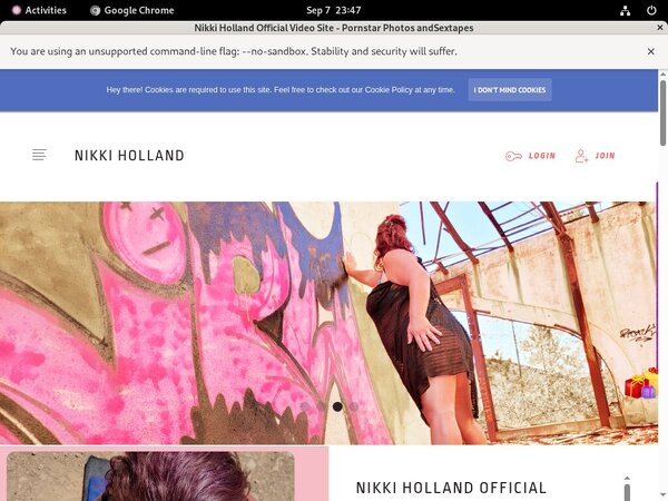 Nikki Holland Accounts Passwords