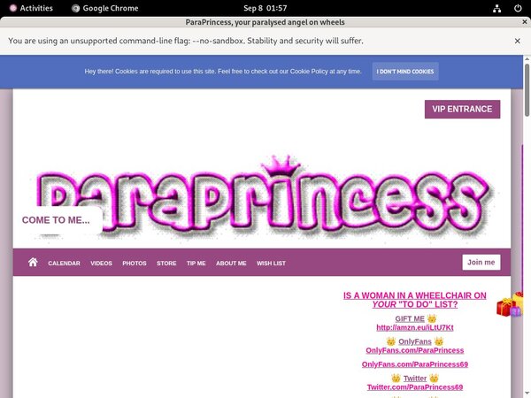ParaPrincess Accounta