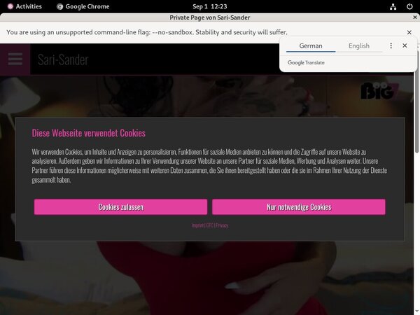 [Image: SariSander-Hd-Sex-Videos.jpg]