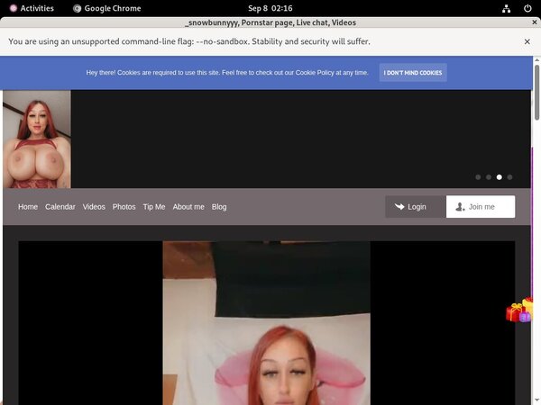 Snowbunnyy Checkout Page