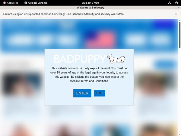Username And Password For Badpuppy