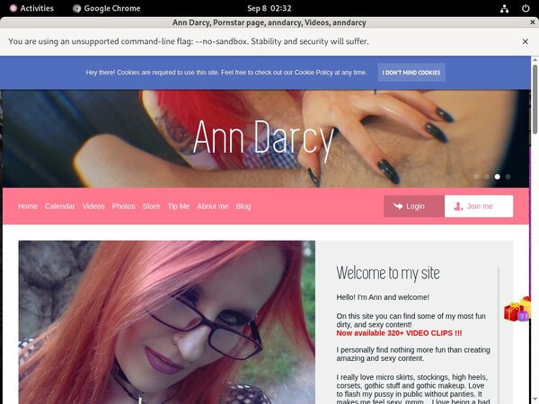 Ann Darcy Upcoming