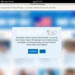 Bad Puppy Account Password
