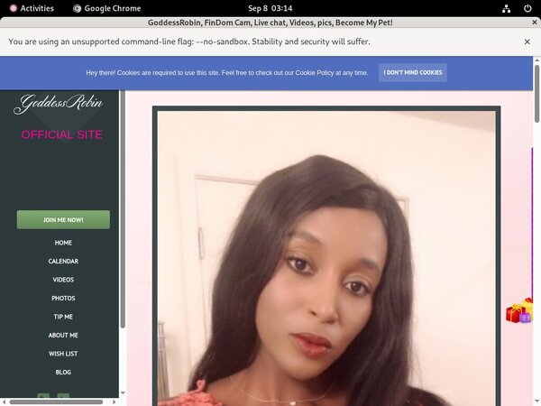 How Much Does Goddessrobin.modelcentro.net Cost