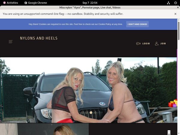 How To Get Stockingsandhighheels.com For Free