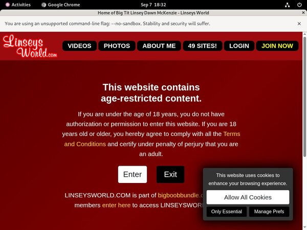 Linseys World Premium Account Login