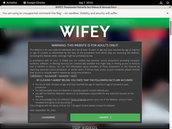 New Wifey Password