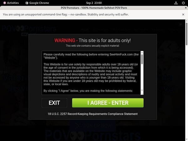 POV Pornstars Login Pass