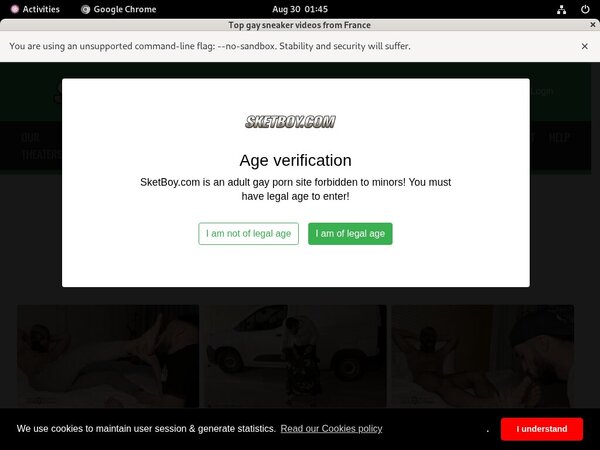 Try Sket Boy Try Sket Boy